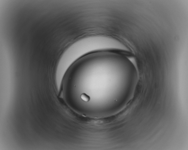 X0000114490117200910191239