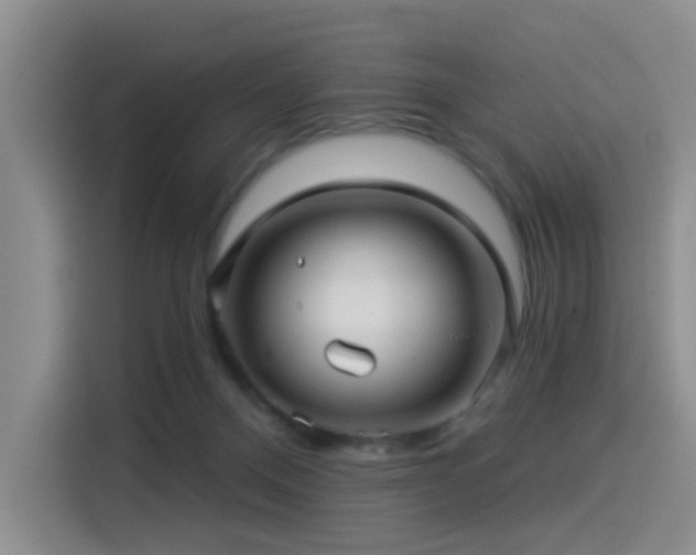 X0000114490120200910191238