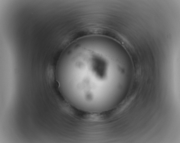 X0000114490121200910191238