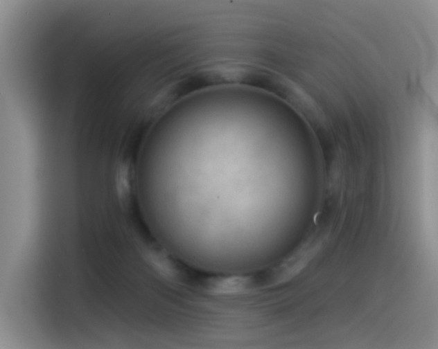 X0000114490122200910191238