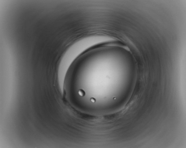 X0000114490124200910191238