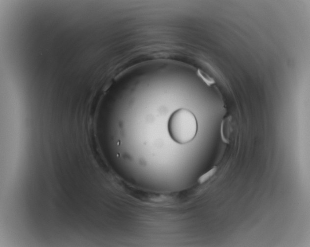 X0000114490125200910191238