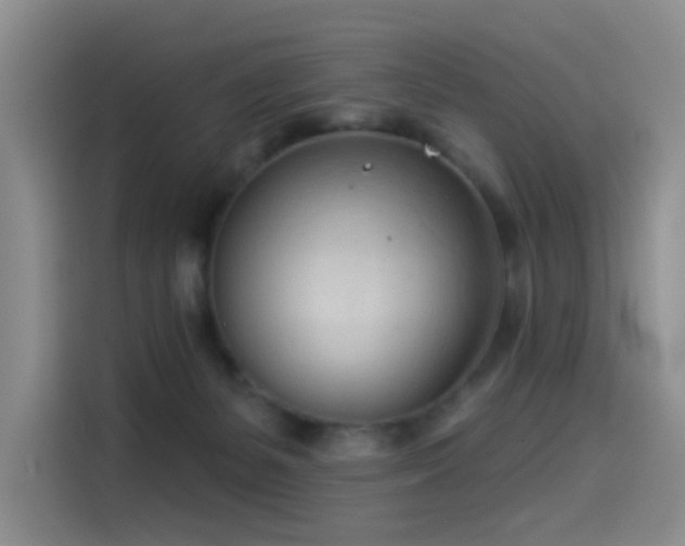 X0000114490127200910191238