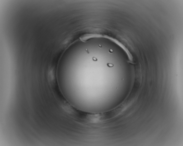 X0000114490131200910191238