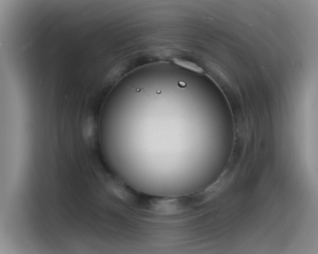 X0000114490132200910191238