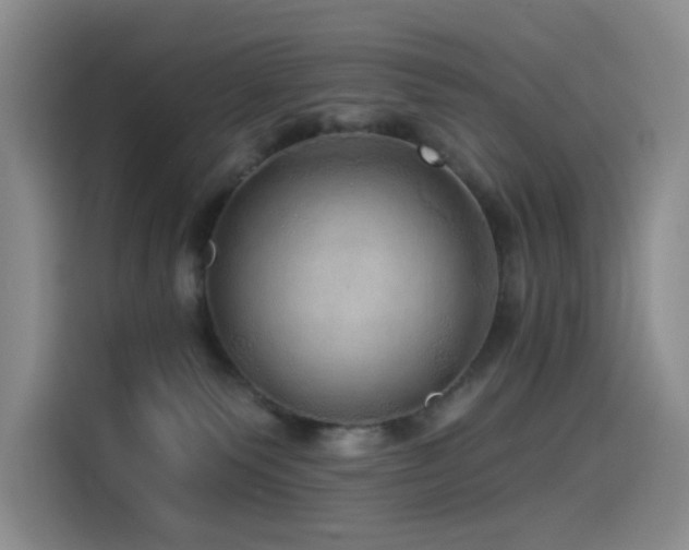 X0000114490135200910191238