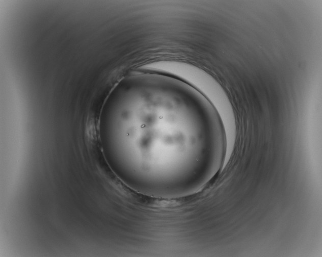 X0000114490137200910191238