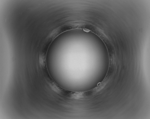 X0000114490138200910191238