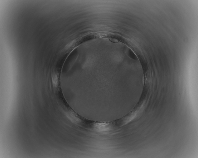 X0000114490139200910191238
