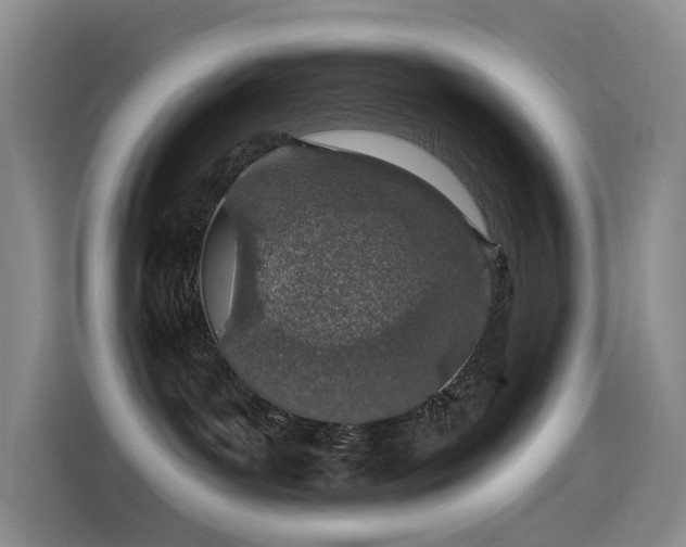 X0000114490143200910191238