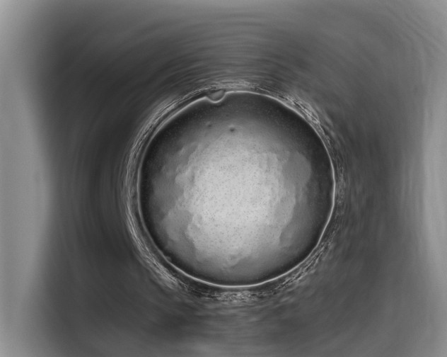 X0000114490145200910191238