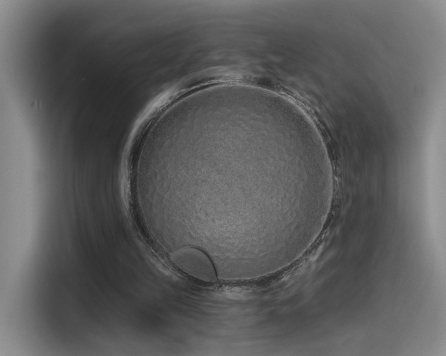 X0000114490149200910191238