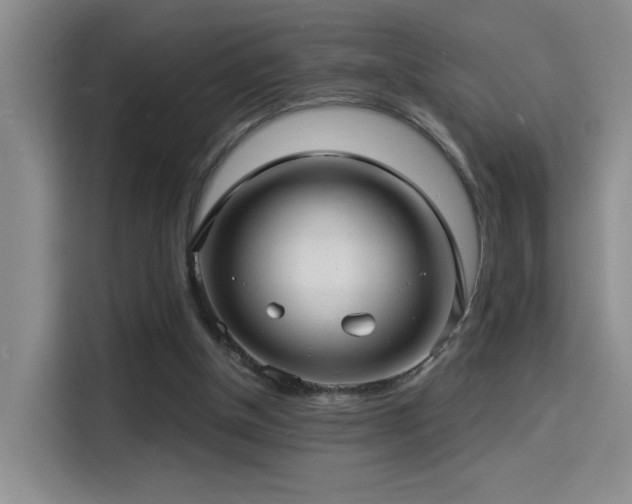 X0000114490154200910191238