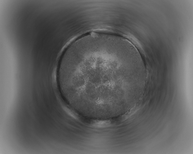 X0000114490155200910191238