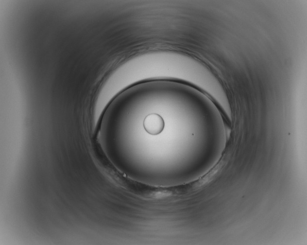 X0000114490158200910191238