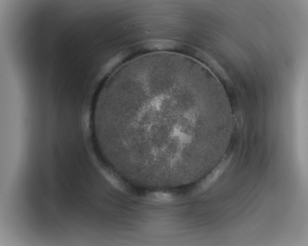X0000114490159200910191238