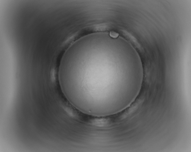 X0000114490161200910191238