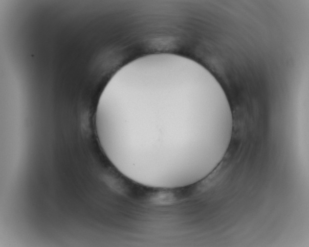 X0000114490162200910191238