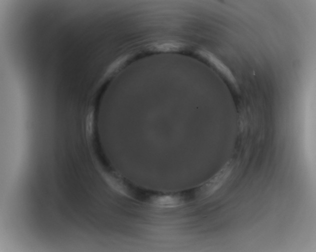X0000114490163200910191238