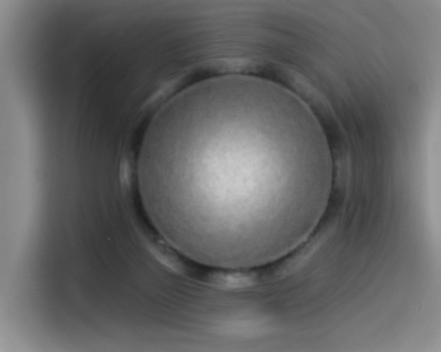 X0000114490165200910191238