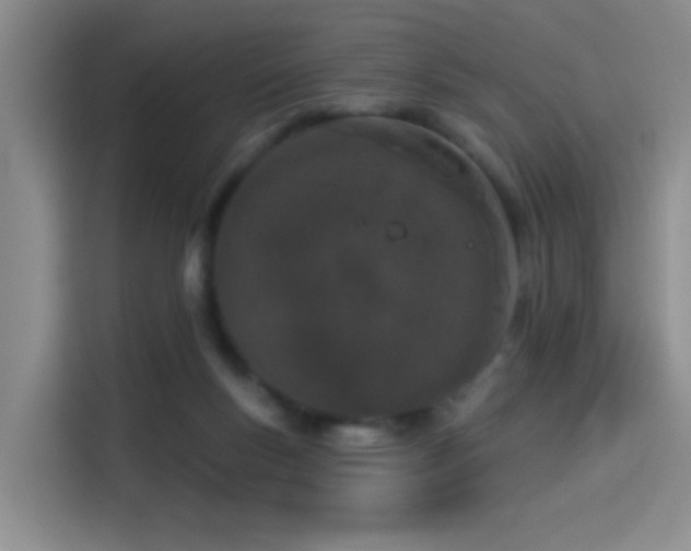 X0000114490167200910191238