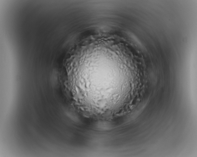 X0000114490169200910191238
