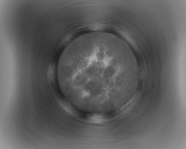 X0000114490171200910191238
