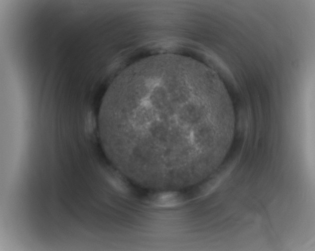 X0000114490173200910191238