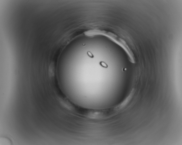 X0000114490174200910191238