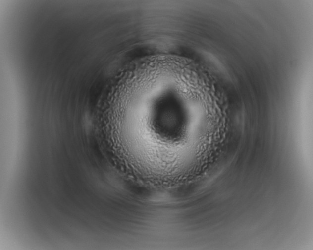 X0000114490177200910191238