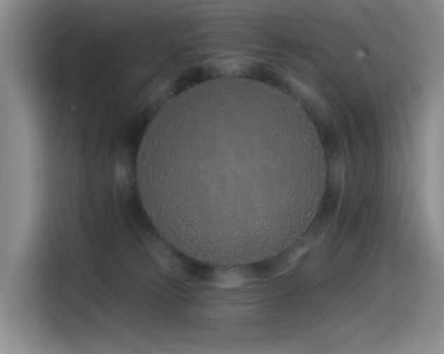 X0000114490181200910191238