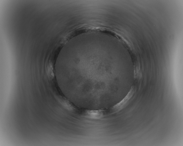 X0000114490187200910191238