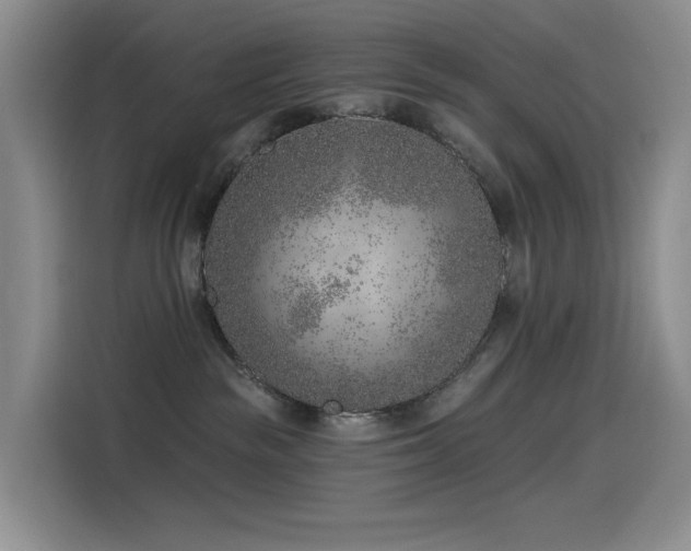 X0000114490189200910191238