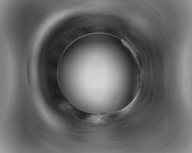 X0000114490190200910191238
