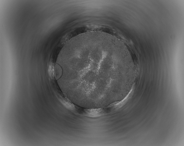 X0000114490191200910191238