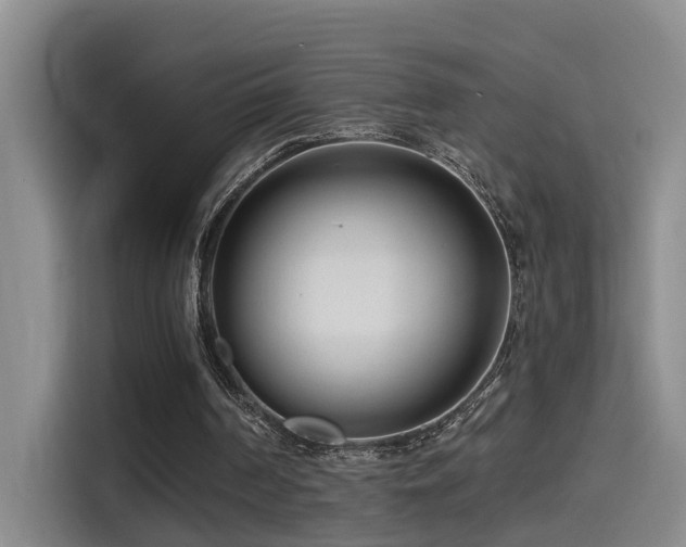 X0000114490194200910191238