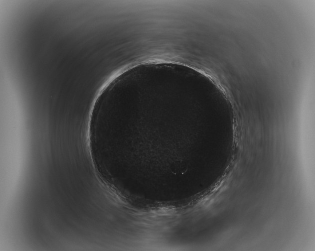 X0000114490196200910191237