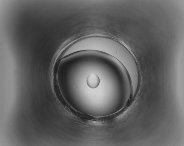 X0000114490199200910191237