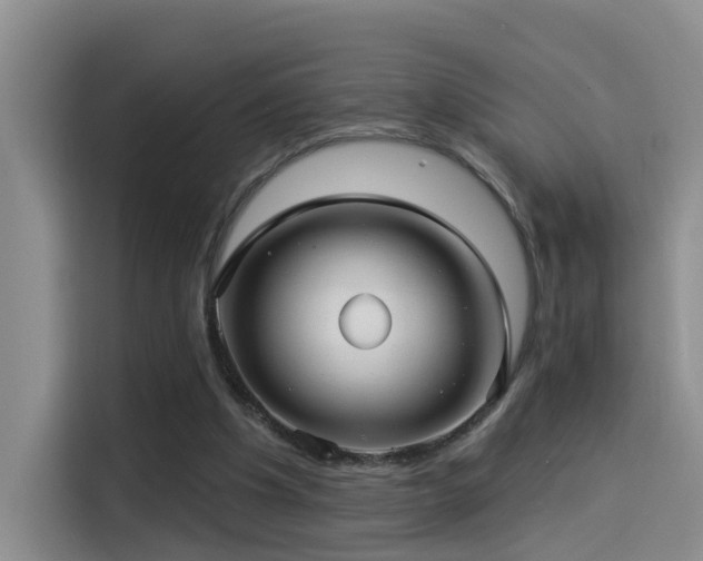 X0000114490201200910191237