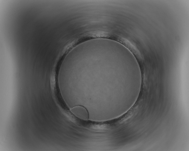 X0000114490202200910191237
