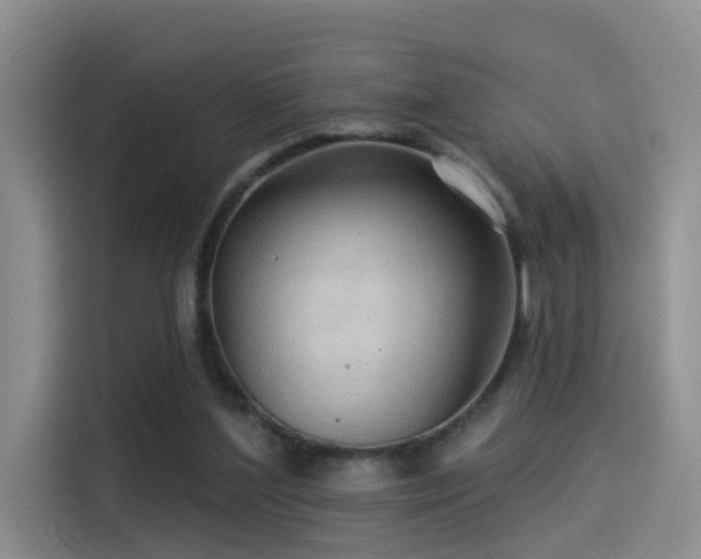 X0000114490204200910191237