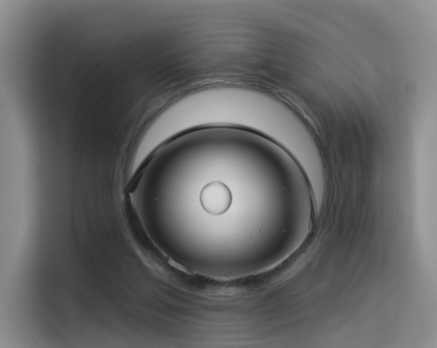 X0000114490205200910191237