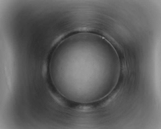 X0000114490208200910191237