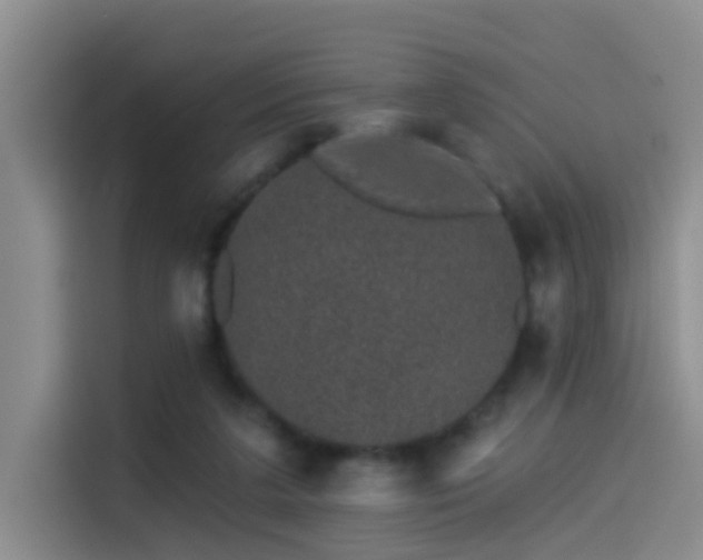 X0000114490211200910191237