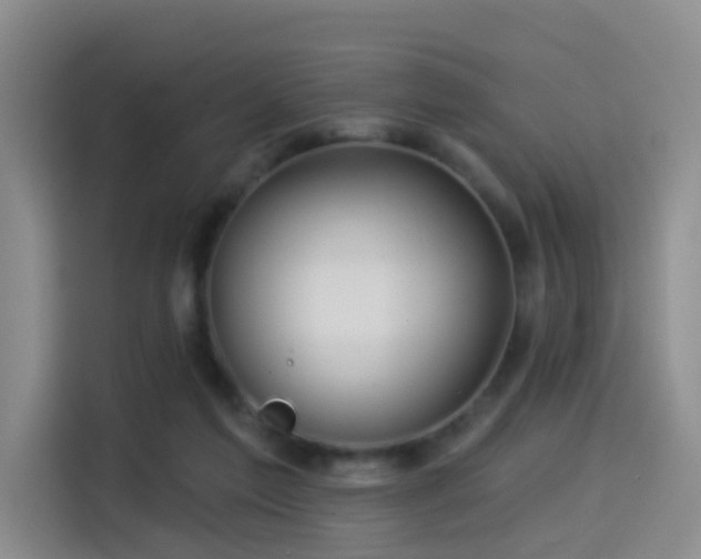 X0000114490213200910191237