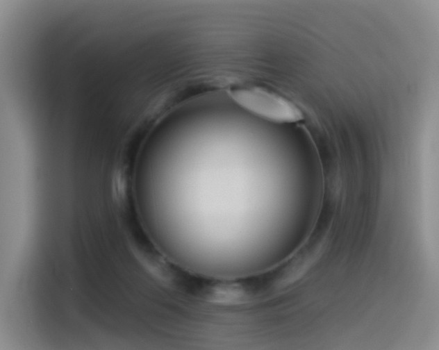 X0000114490214200910191237
