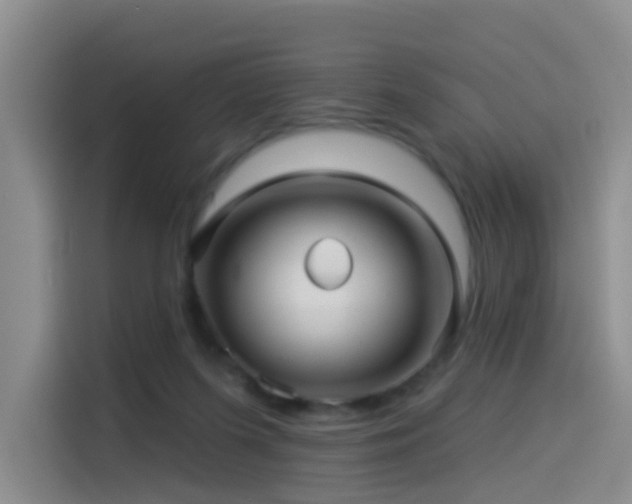 X0000114490215200910191237