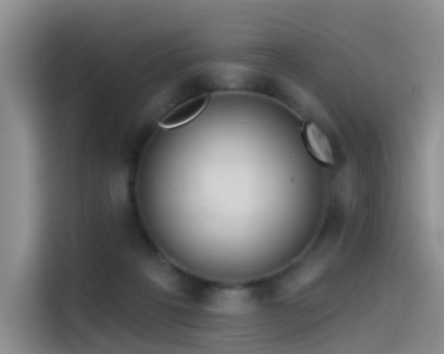 X0000114490217200910191237