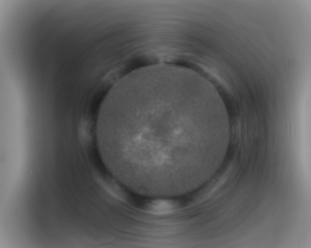 X0000114490218200910191237