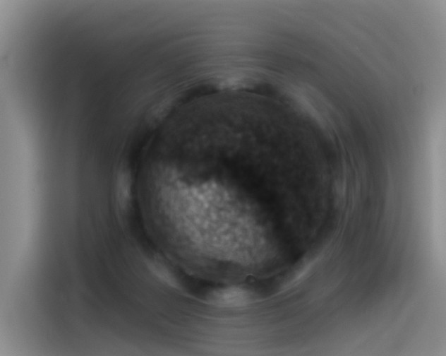 X0000114490219200910191237